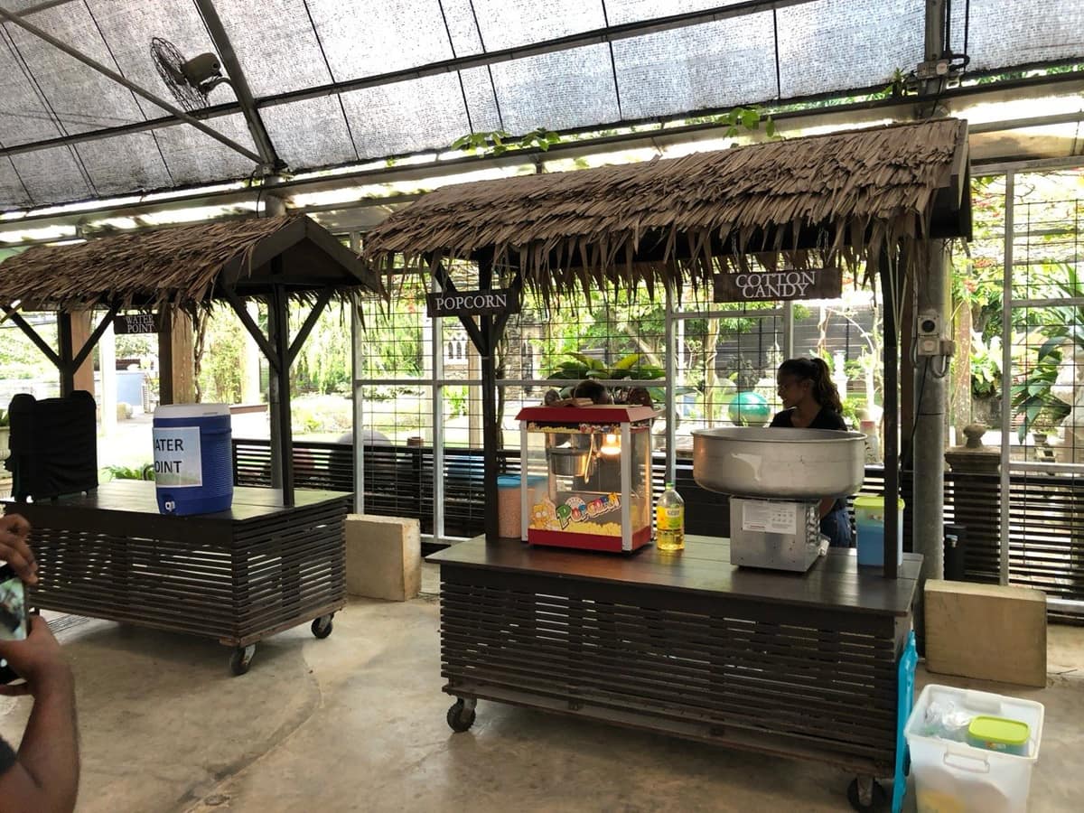 Snack carts at an event